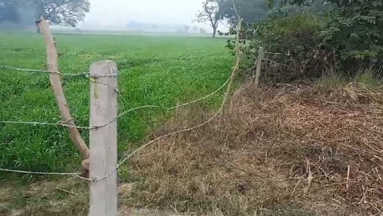 deer died after getting stuck in the barbed wire in Budaun
