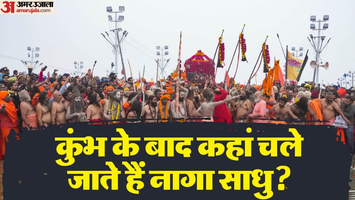 Mahakumbh 2025 What Naga Sadhus Do After Kumbh unveiling Untold Stories and facts naga sadhu ka rahasya