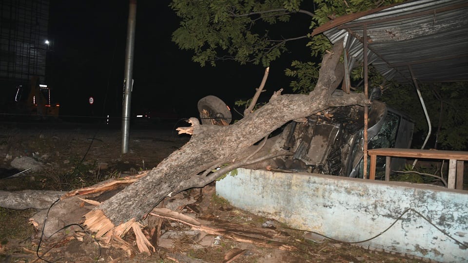 Haldwani Road Accident: The car uprooted a decades old strong tree in haldwani