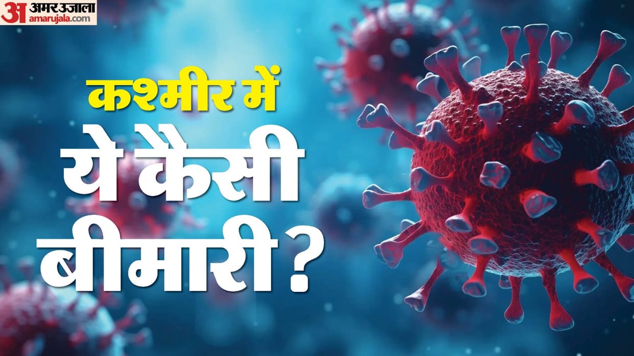 Jammu Kashmir Neither bacteria nor virus village of Rajori is in grip of unknown disease