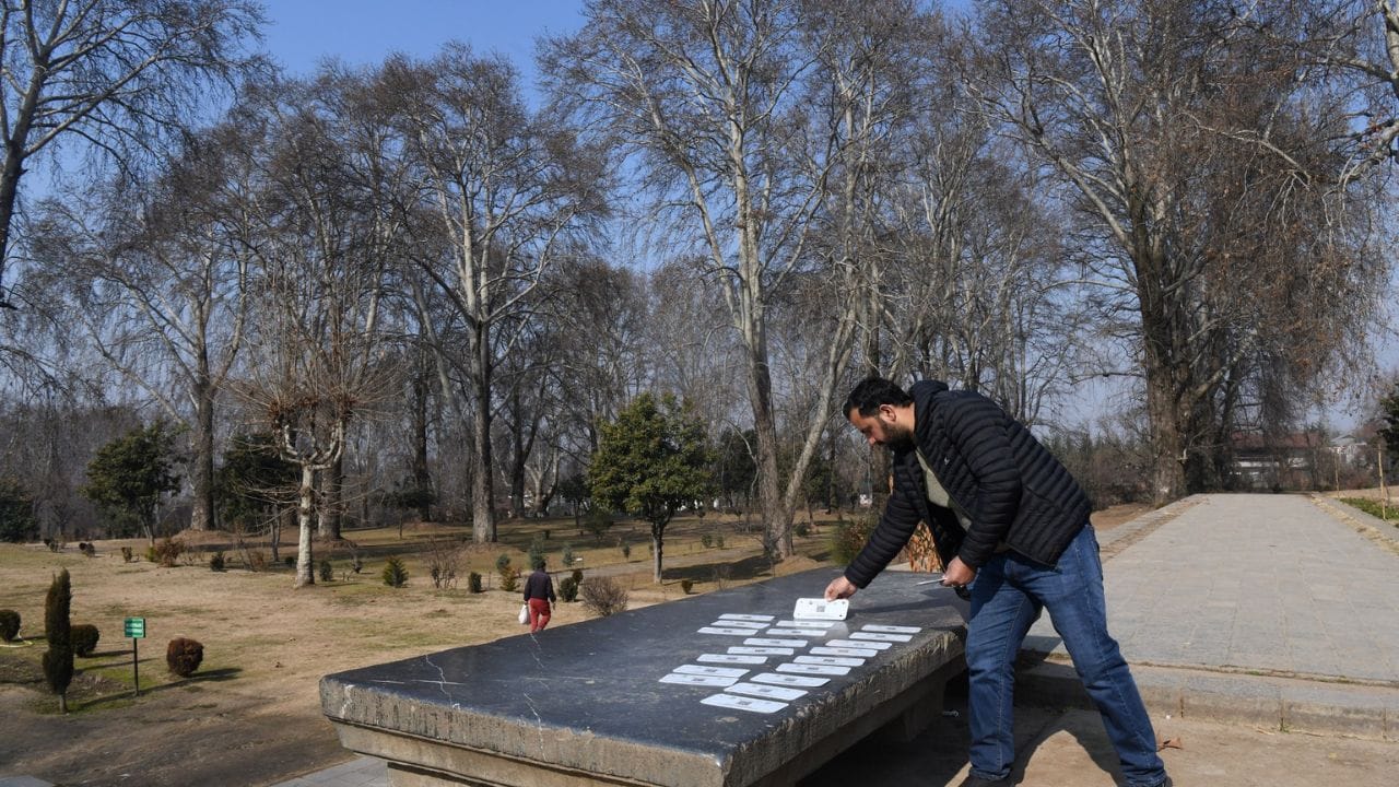 Photos: Digital conservation of Chinar trees; Kashmir's new beginning in the process of geo-tagging