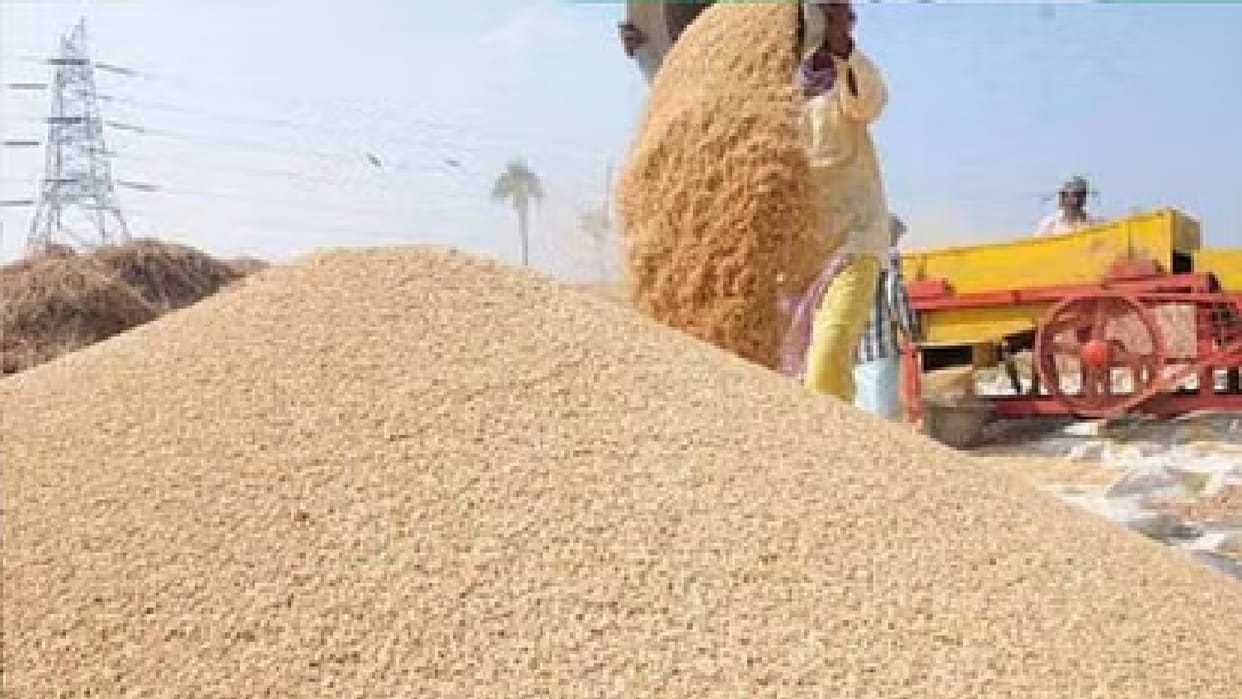 Last year paddy purchase record broken in Chhattisgarh: crossed 145 lakh metric tonnes