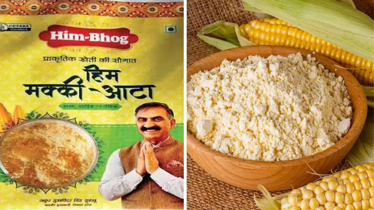 Himachal maize flour prepared through natural farming will be sold across the country