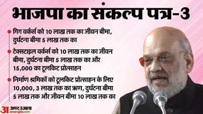 delhi assembly election BJP Manifesto Free treatment up to Rs 5 lakh Rs 10000 financial aid to workers