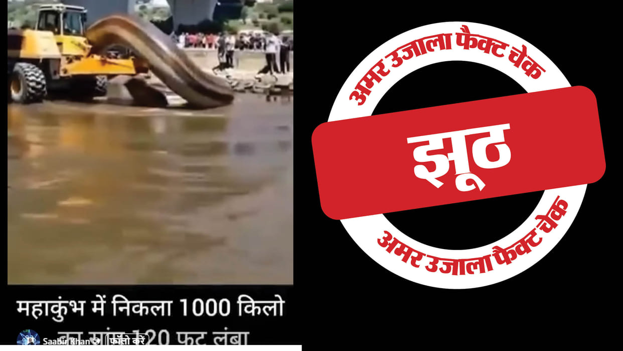 claim of a 120 feet long snake appearing in Maha Kumbh is false
