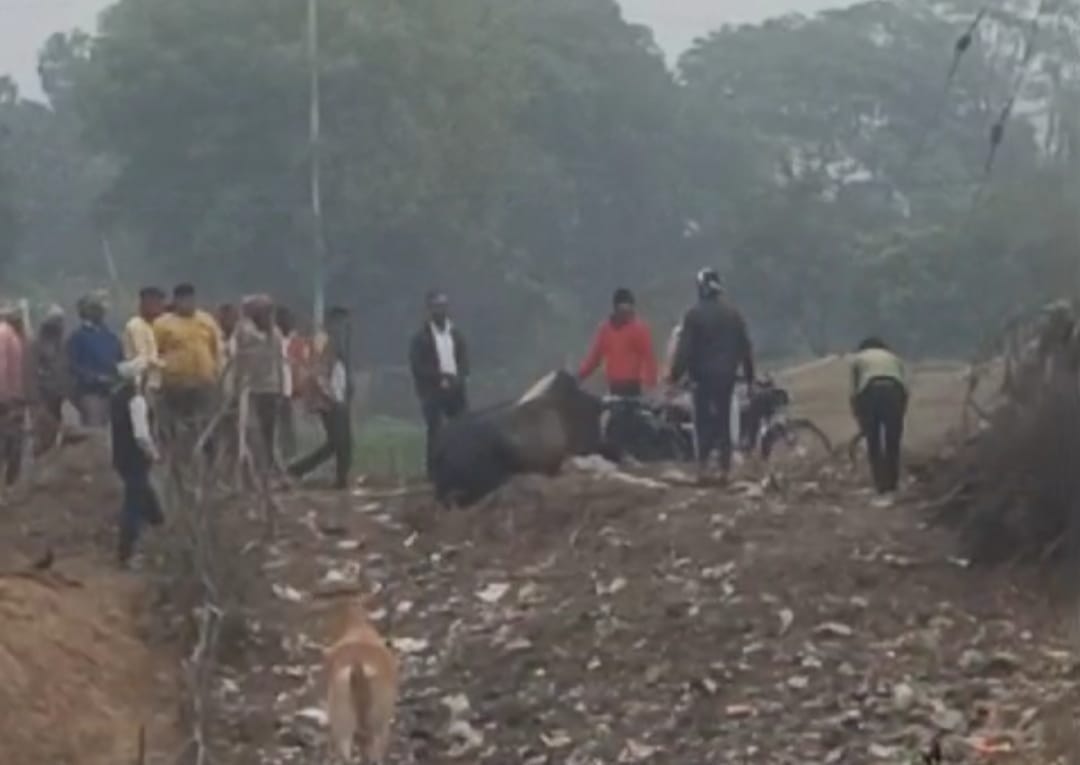 Animal cruelty in Agra Brutally beaten to death