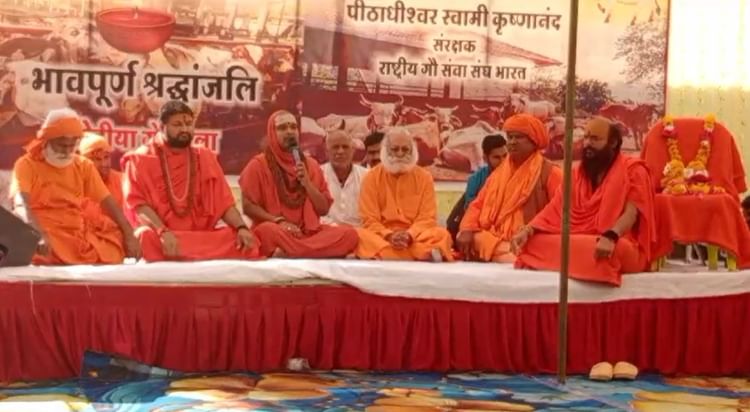 खबर का असर: नंदराज गौशाला से गायब हुई गायों का मामला, अधिकारियों का दल पहुंचा गौशाला; 530 गाय मौके पर मिली
