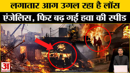 US Fire News: Terrible devastation caused by fire in America, created chaos. California/Los Angeles. Donald Tr