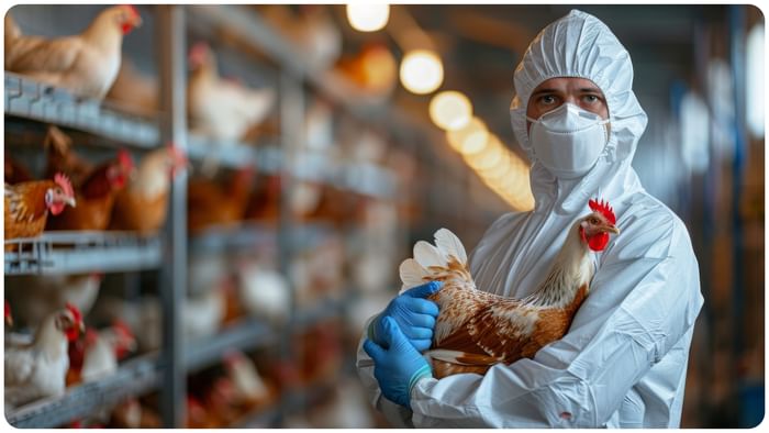 avian influenza H5N1 outbreak in Uttarakhand latest news and updates why bird flu is dangerous