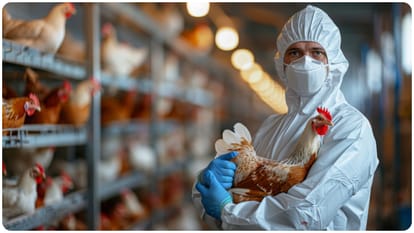 first person to die from a rare H5N5 strain of bird flu know details in hindi