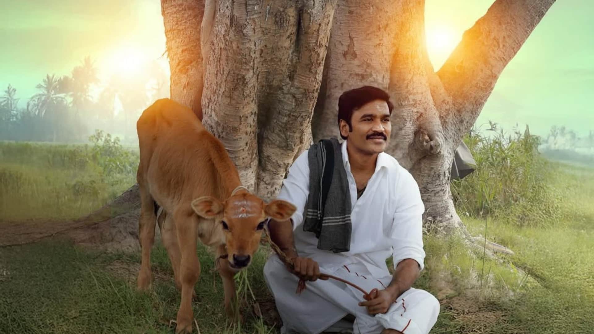 Dhanush Idly Kadai release date postponed Nithya Menen Nilavuku En Mel Ennadi Kobam NEEK as per report