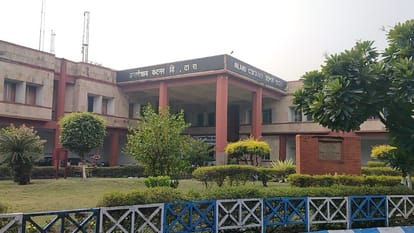 कस्टम विभाग