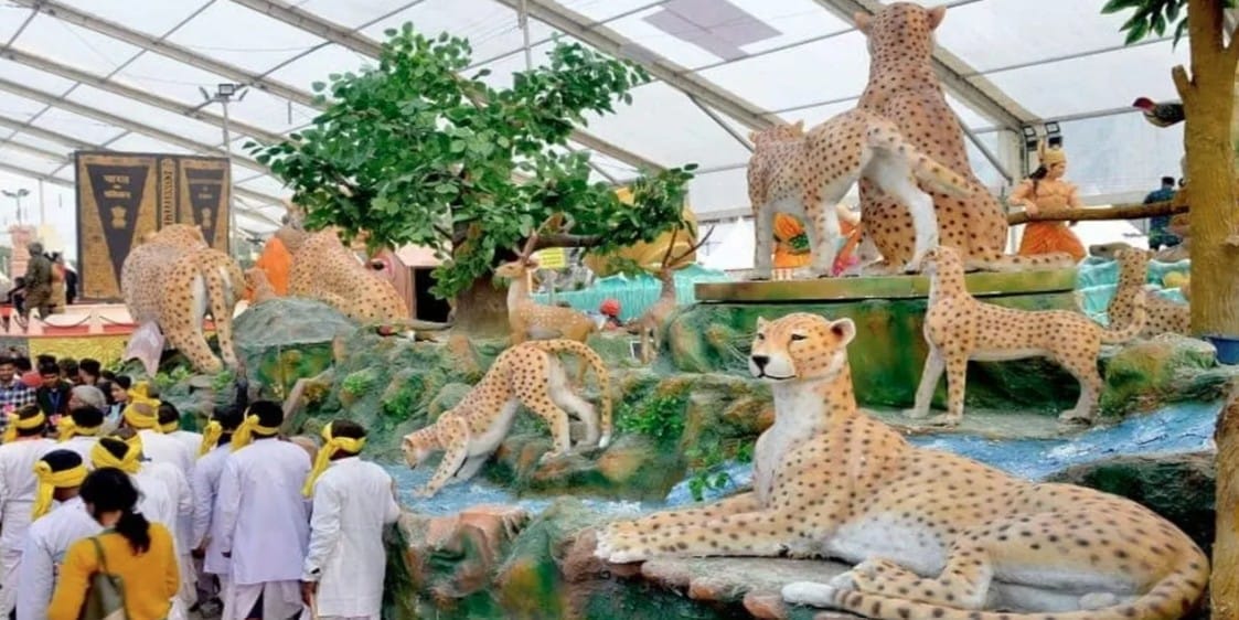 Kuno National Park and cheetahs seen on Delhi's duty path