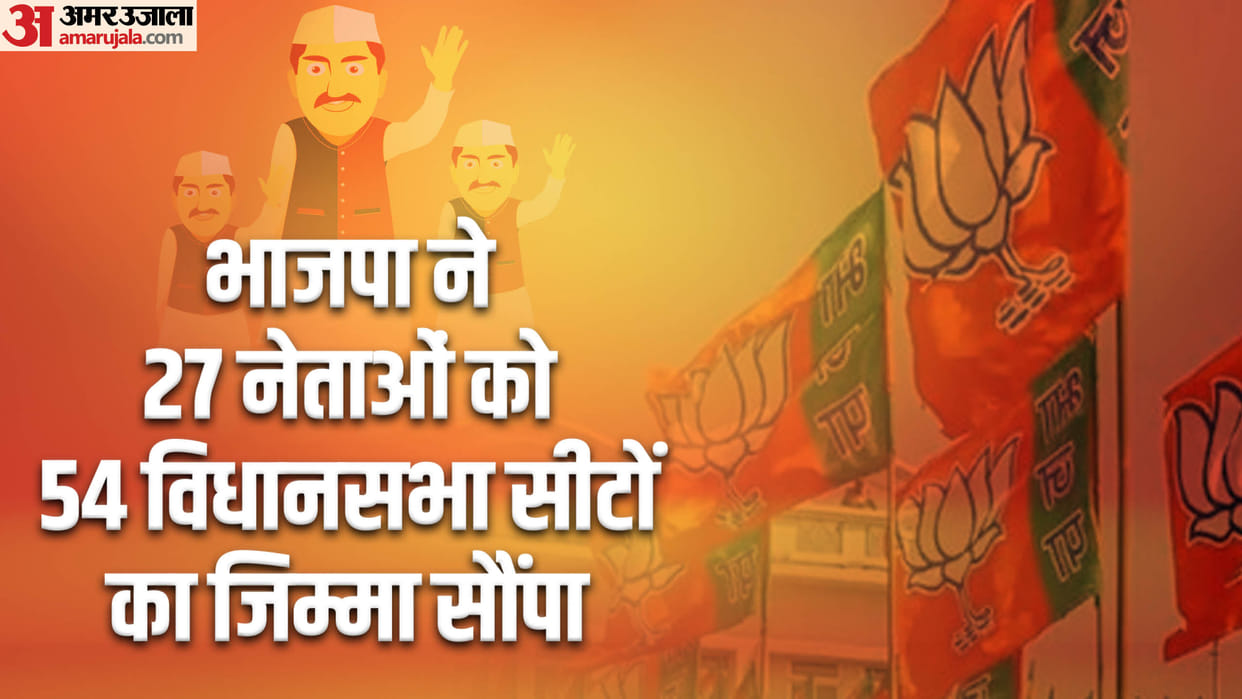 BJP gave task to Union Ministers MPs and MLAs to conquer Delhi plan made for these seats