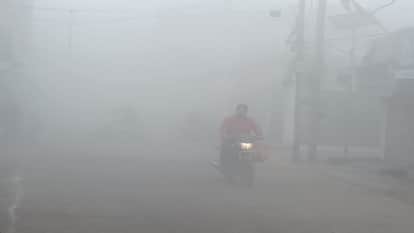 Punjab gripped by dense fog cold wave Faridkot coldest flights affected
