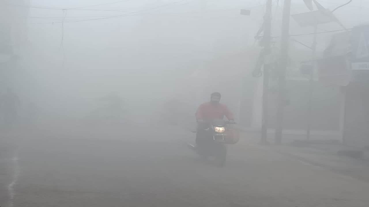 घना कोहरा