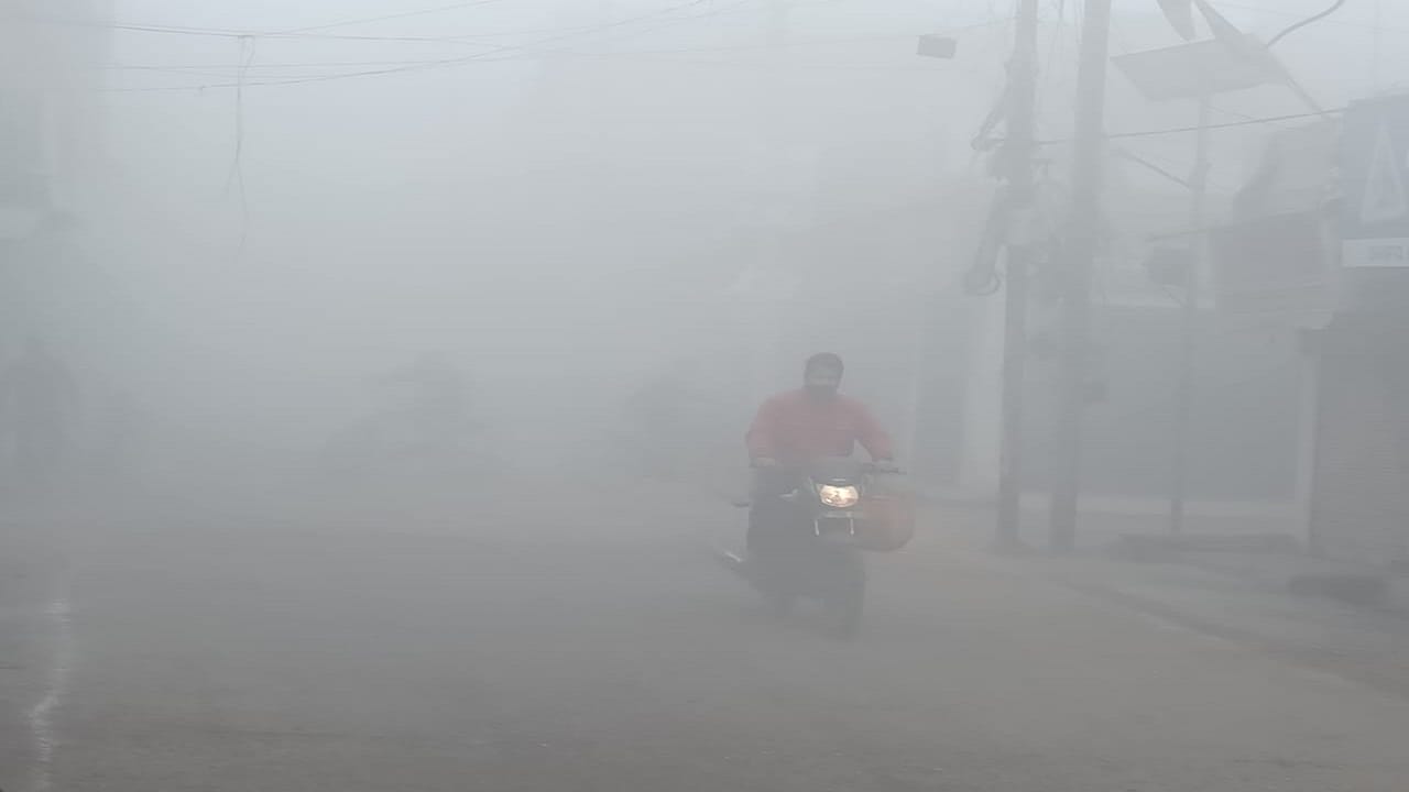 घना कोहरा