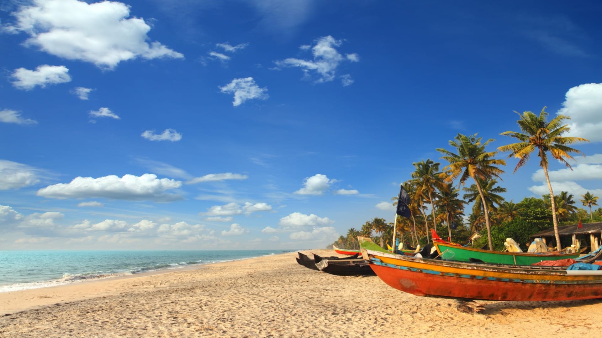 Propose Day 2025 Best Places To Propose Your Crush on Valentine Day Locations