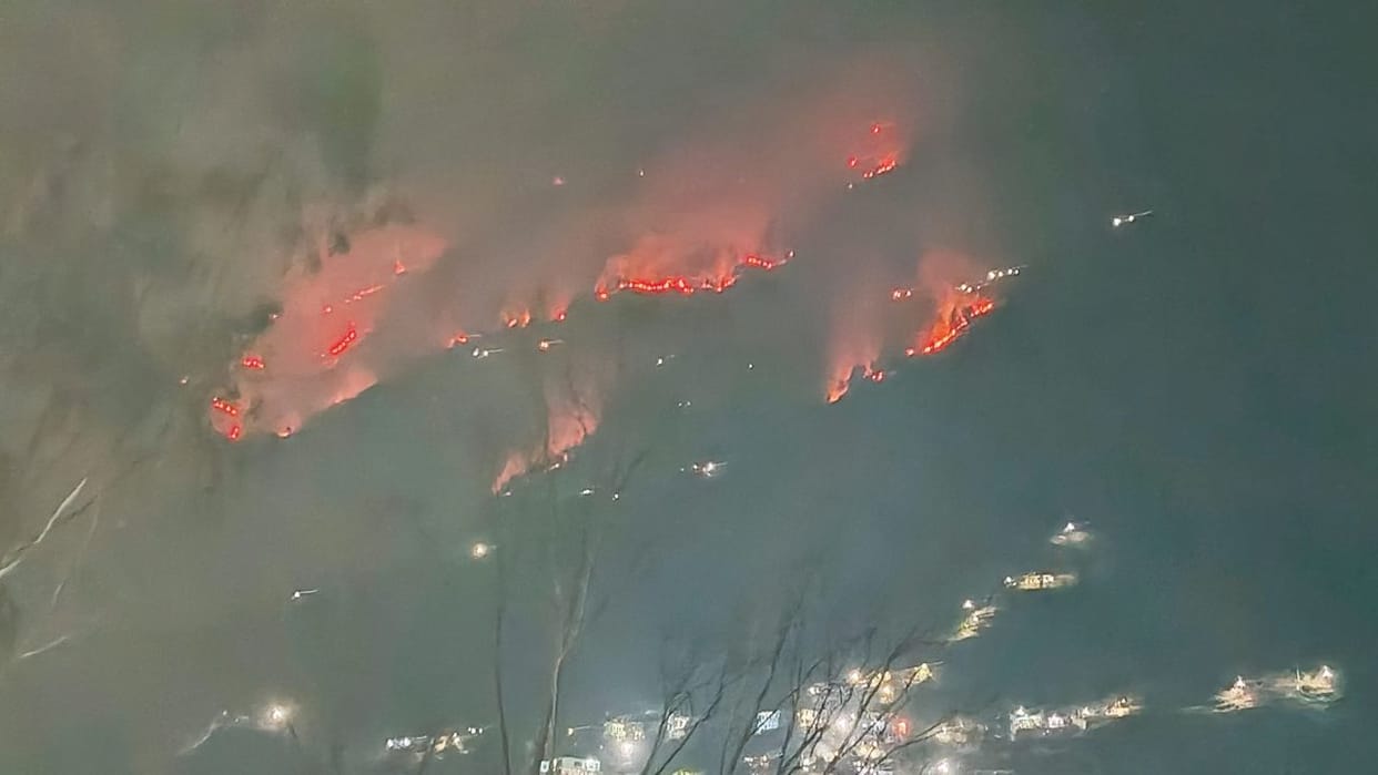 Himachal News Gardens and Gaushala engulfed in grass fire in Samot Shimla cows burnt alive