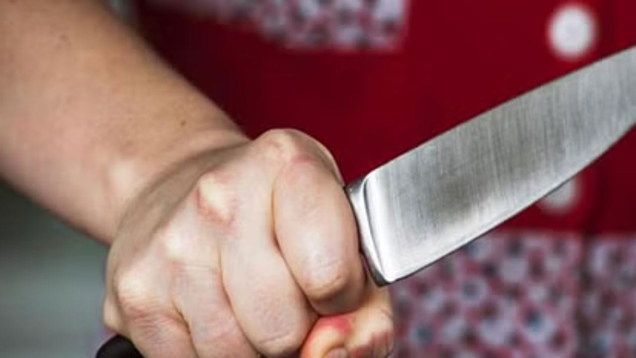 Himachal Prades Shimla After an argument in Buthli of Melthi he stabbed his friend with a knife