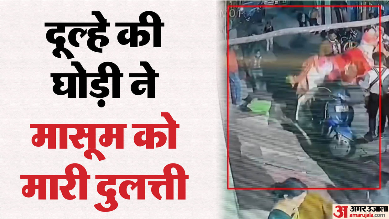 Groom Horse kicked a child on head In Kanpur he died due to injury