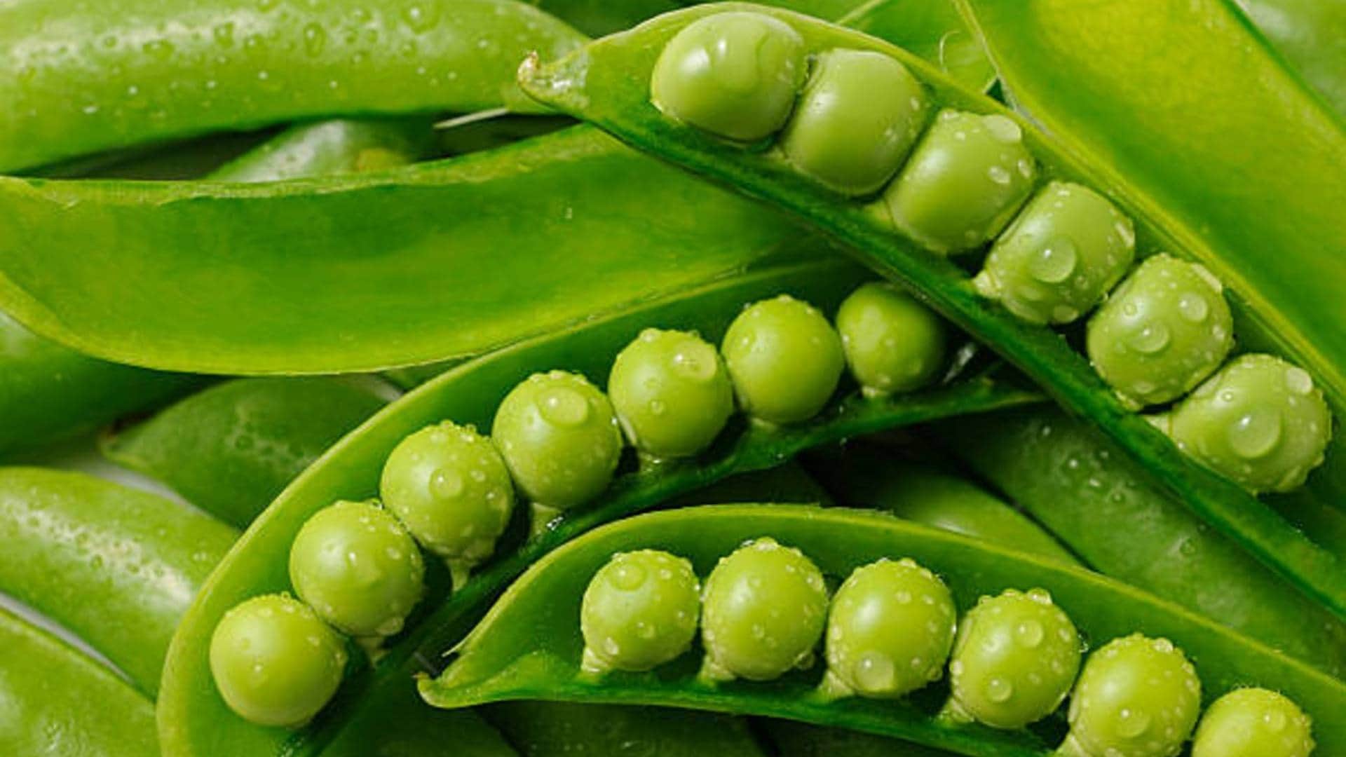 Side Effect Of Eating Peas How it can Harmly Affect your Health and Body Know the Reason behind this