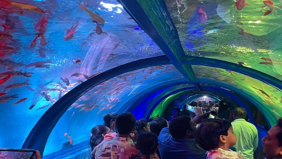 Fish tunnel in Aligarh Exhibition for the first time