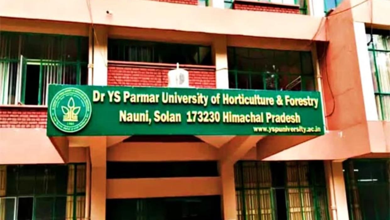 Himachal Four nurseries of Nauni University have been recognized at the national level