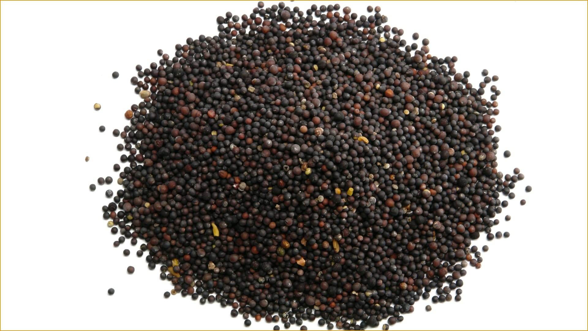 Rai ka Upay For Financial Problem Mustard seeds remedies upay totake can be beneficial for health and financia