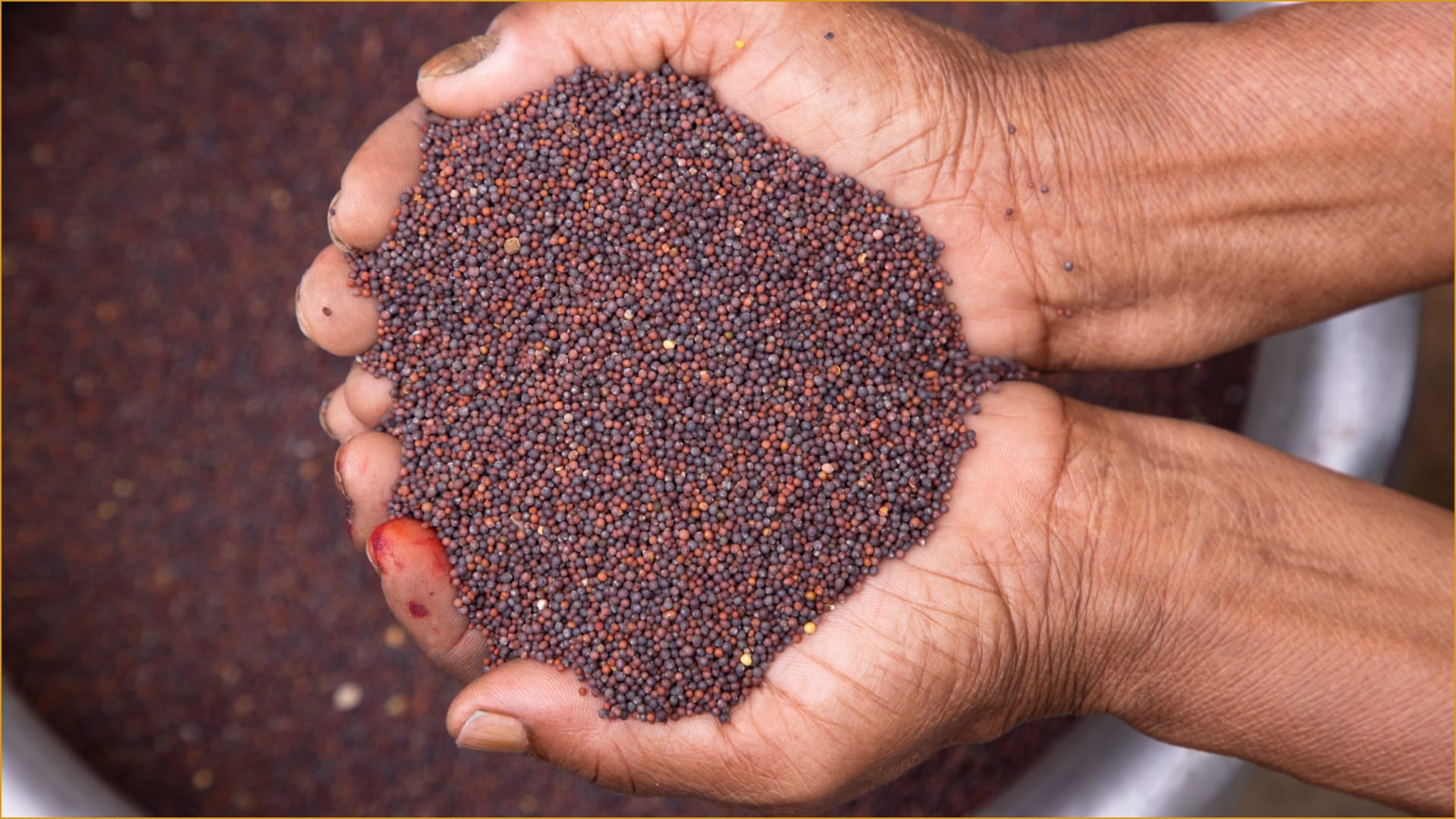 Rai ka Upay For Financial Problem Mustard seeds remedies upay totake can be beneficial for health and financia