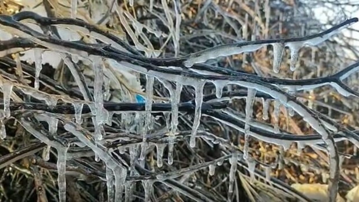 Rajasthan Weather Update: Mercury reaches zero in Fatehpur, rain alert in Jaipur-Bharatpur division today