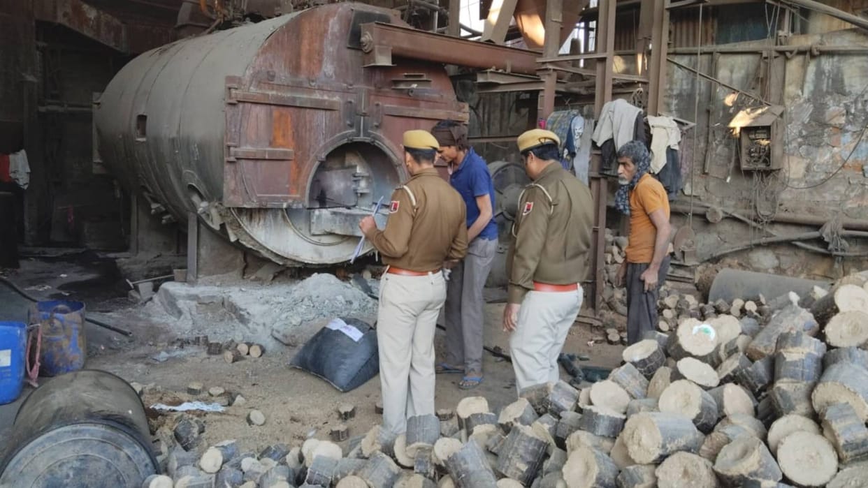 Pali News Doda poppy worth crores of rupees destroyed 14 police stations had taken action seize illegal drugs