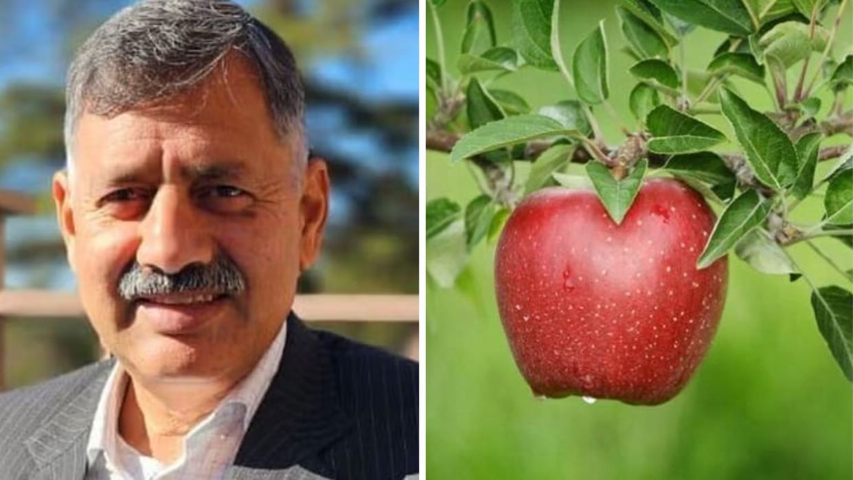 Himachal RERA Chairman Shrikant Baldi has been accused of distributing apples from govt funds records summoned