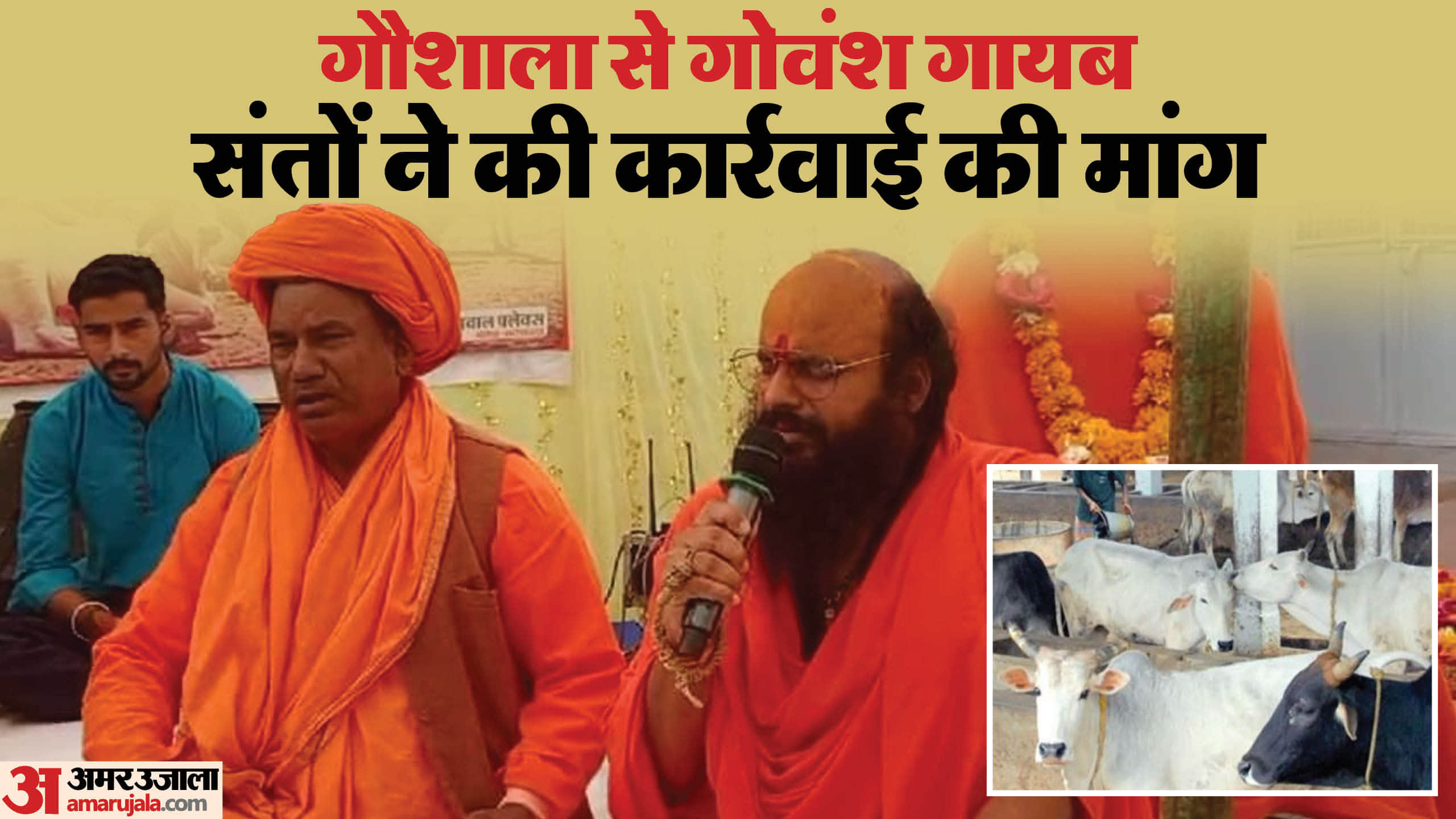 MP News 530 cows were found in Ujjain Nandraj Gaushala instead of 1028 protest saints got their heads shaved