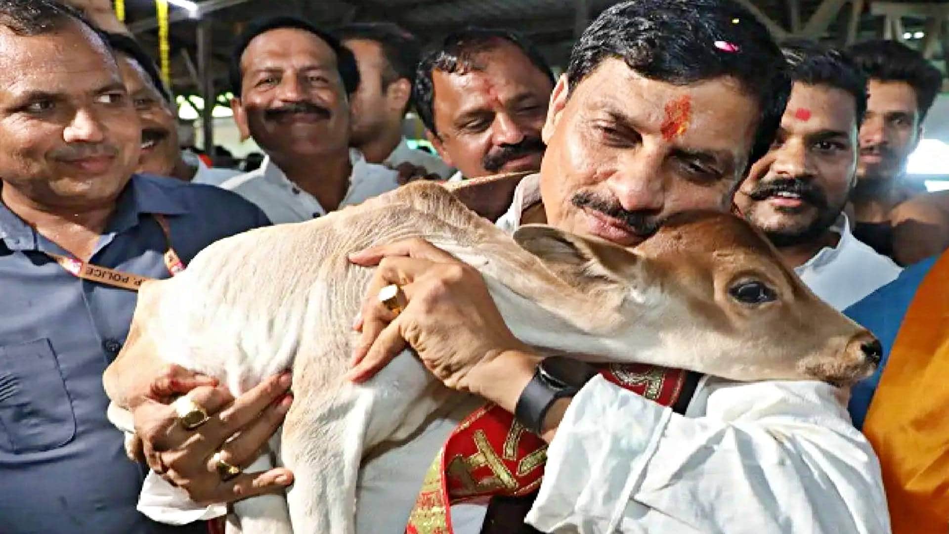 MP News 530 cows were found in Ujjain Nandraj Gaushala instead of 1028 protest saints got their heads shaved