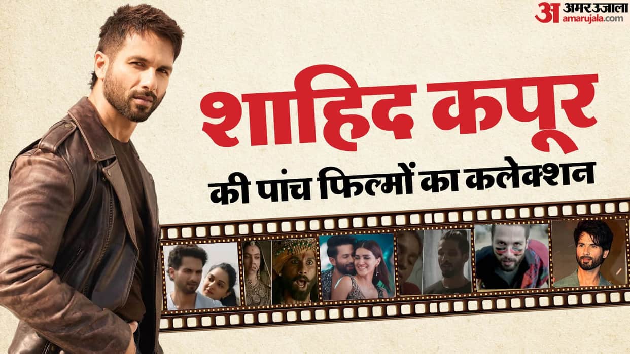 Actor Shahid Kapoor Top 5 Highest Box Office Collection Kabir Singh Padmaavat Udta Punjab Haider