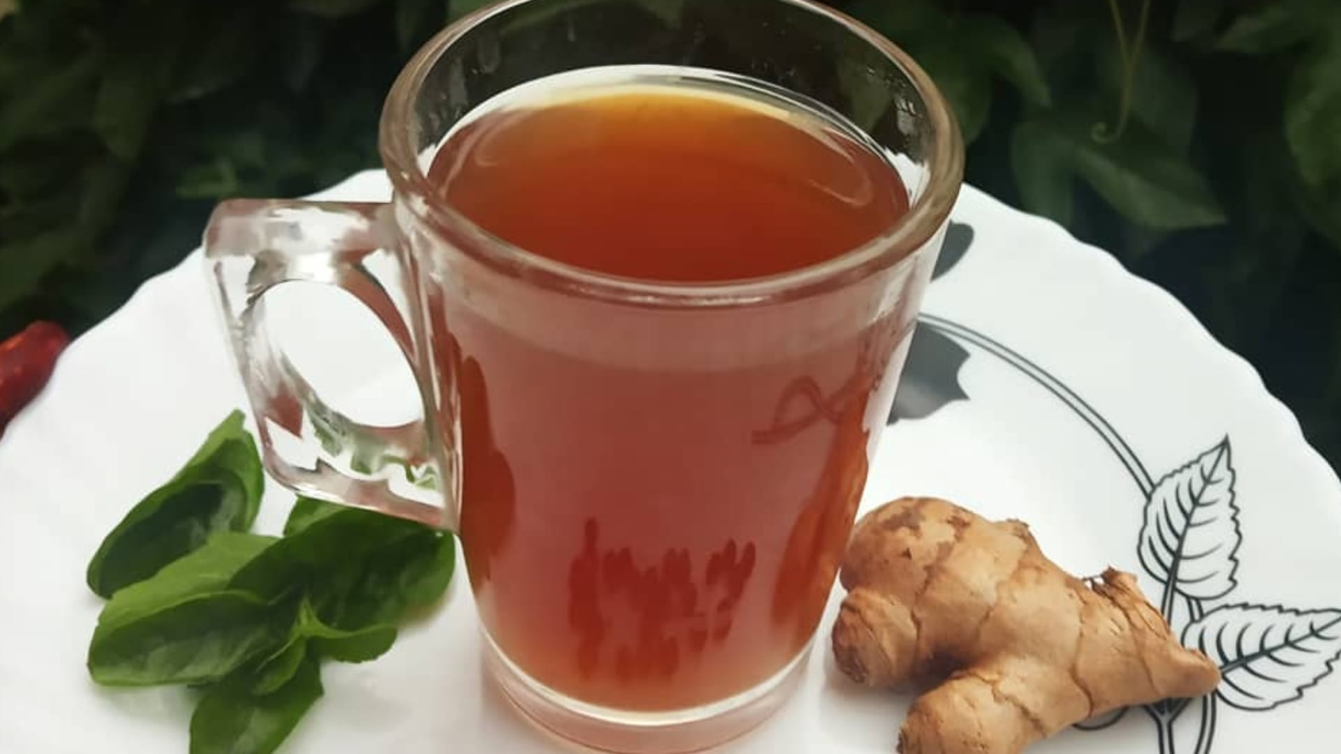 alternate option of green tea in hindi green tea ki jagah kya pi sakte hain