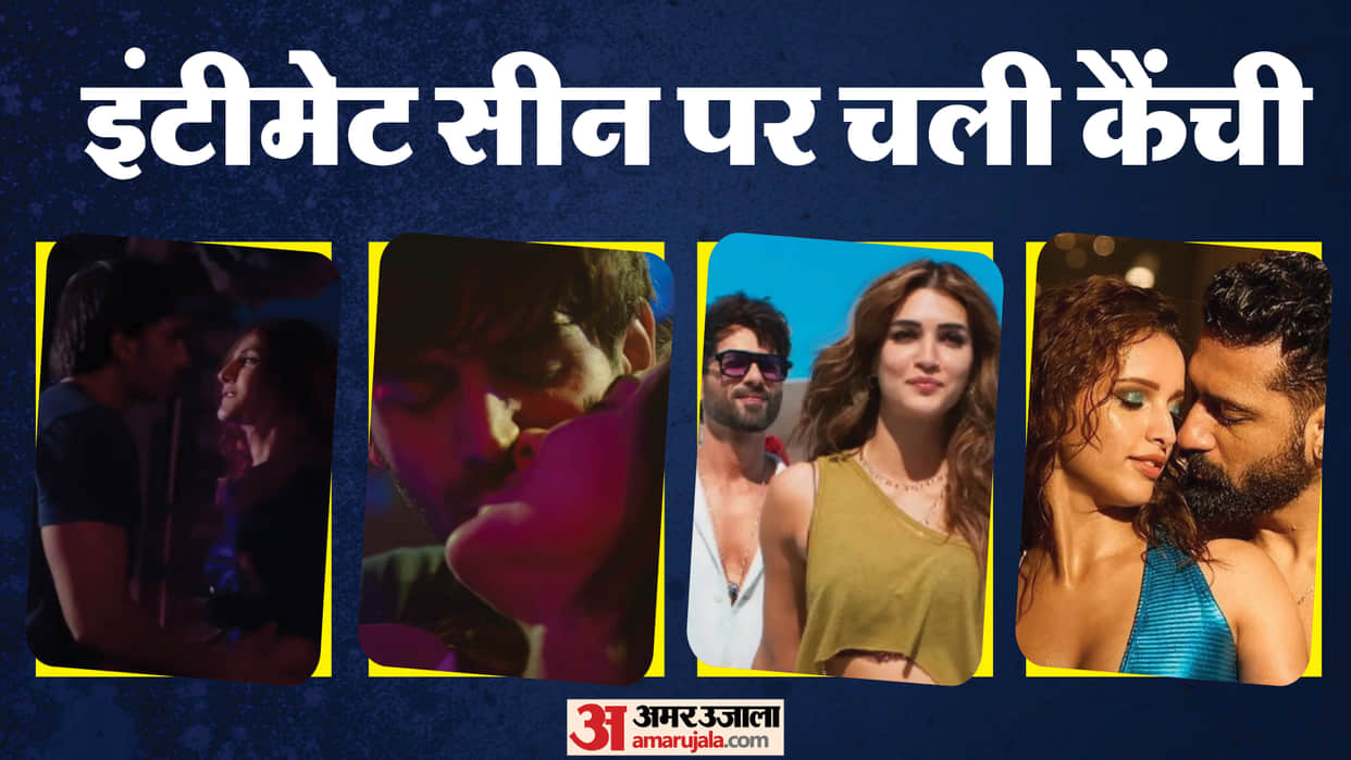 Bollywood Movies Kissing Scenes Cut By Censor Board Deva Bad Newz Love Aaj Kal Gully Boy Befikre