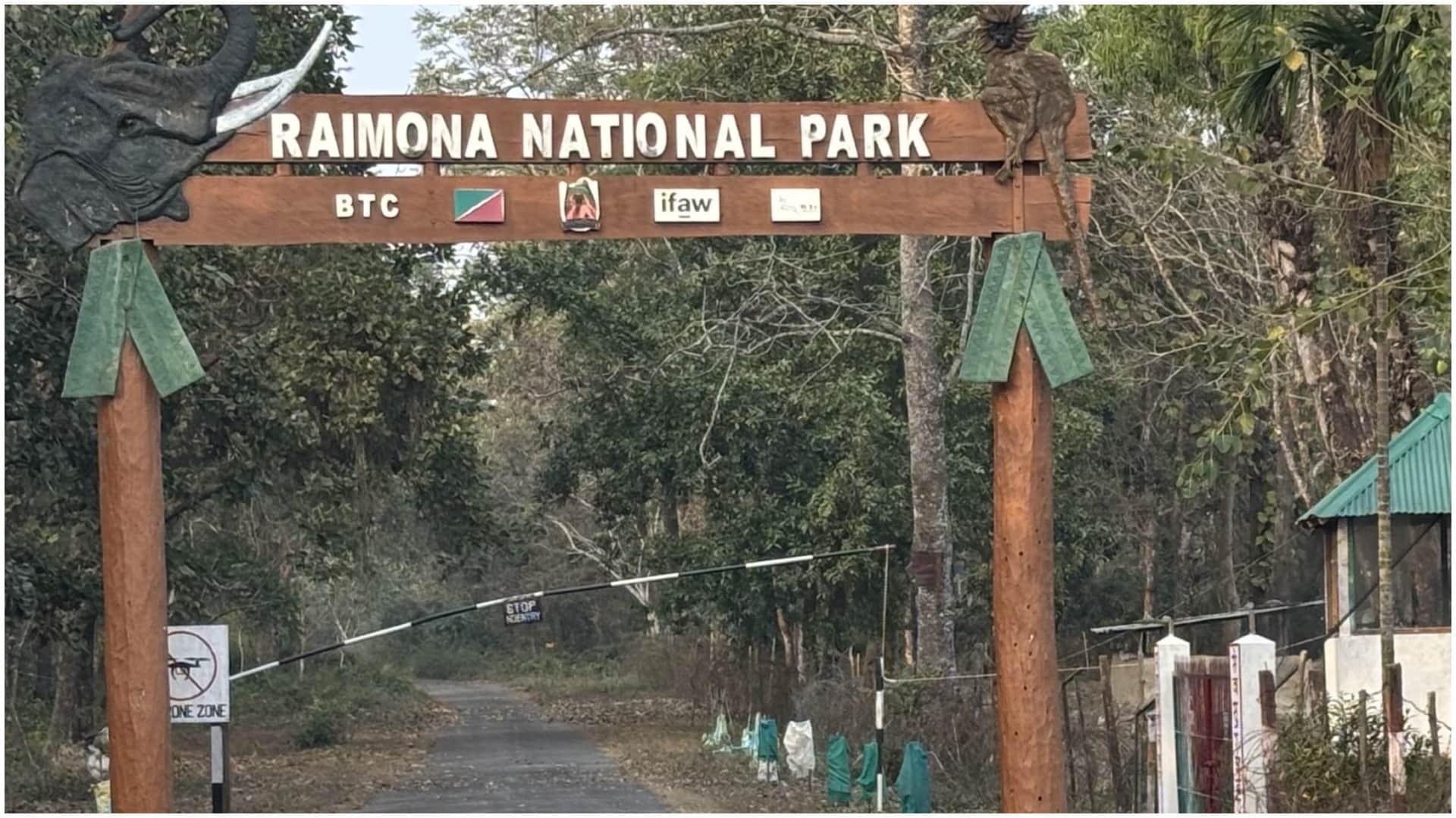 Raimona National Park: The story of 57 hunters who targeted animals, how they became 'friends' from 'enemies'