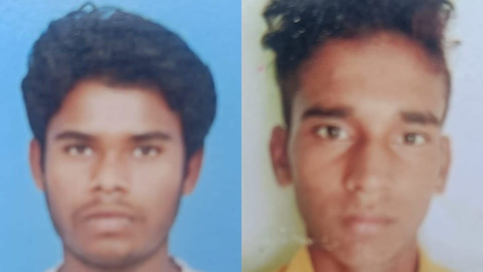 Bike collided with a tree while trying to save a stray animal, two cousins died... two others injured