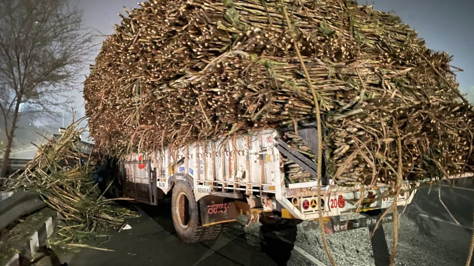 Accident in Khanna overloaded trolley lost balance two died crushed under sugarcane