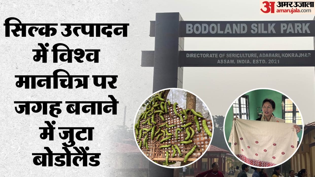 Bodoland of Assam is making a place on the world map in silk production