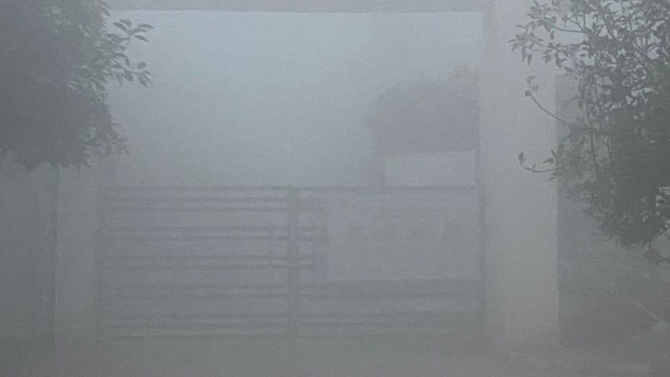 Fog in Haryana weather update