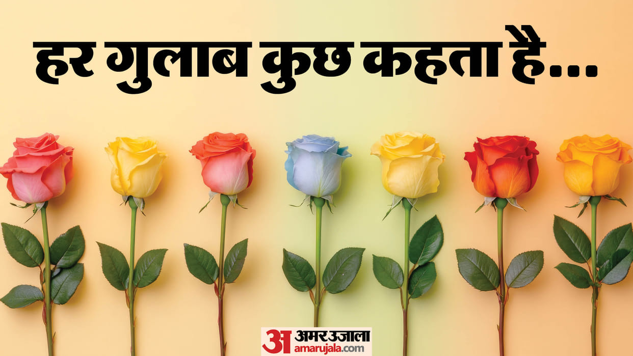 Rose Day 2026 Types Of Roses And Their Meaning Gulab Dene Ke Niyam