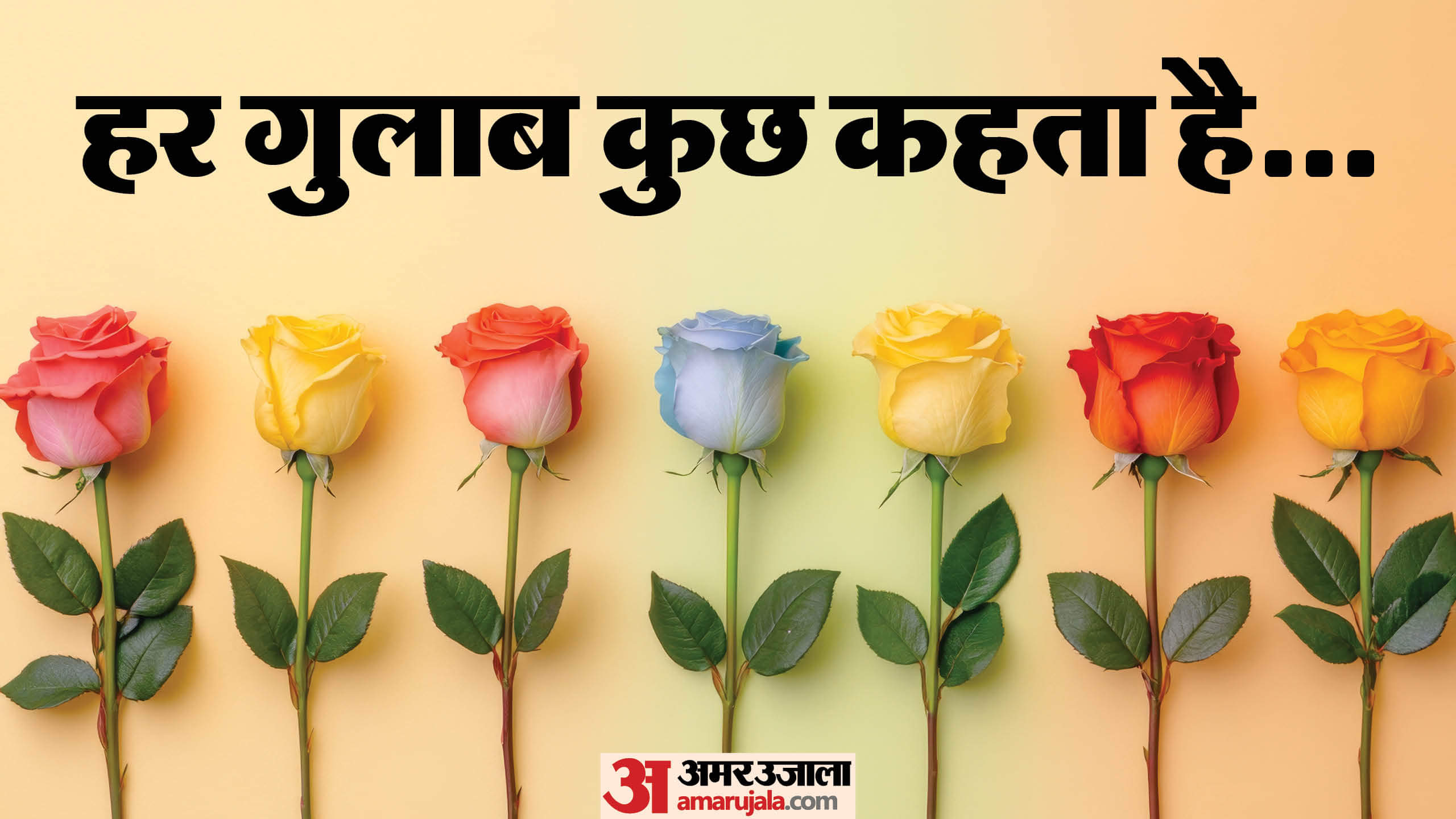 Rose Day 2026 Types Of Roses And Their Meaning Gulab Dene Ke Niyam