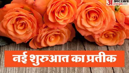 Vastu Tips significance of rose fragrance and its positive energy in Vastu Shastra