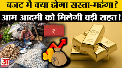 Union Budget 2025: What will be cheap and expensive in the budget? What relief can the common man get? , Amar