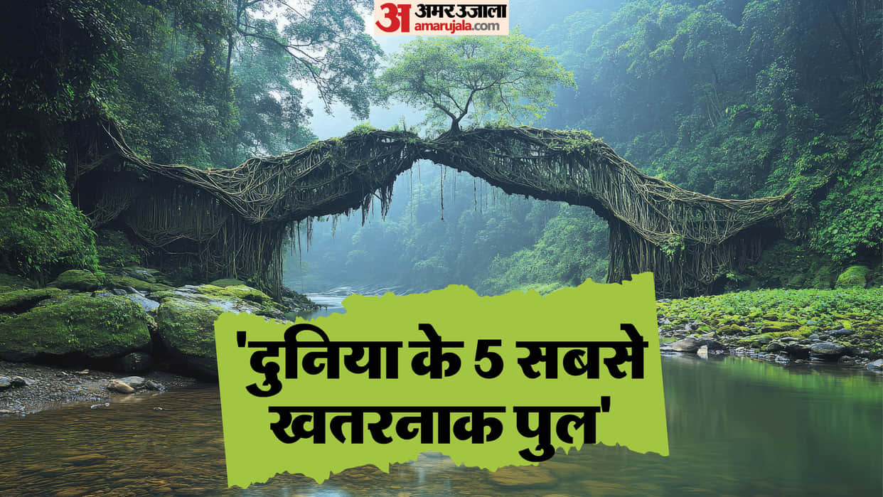 World 5 Most Dangerous Bridges Including One in India duniya ke sabse khatarnak pul