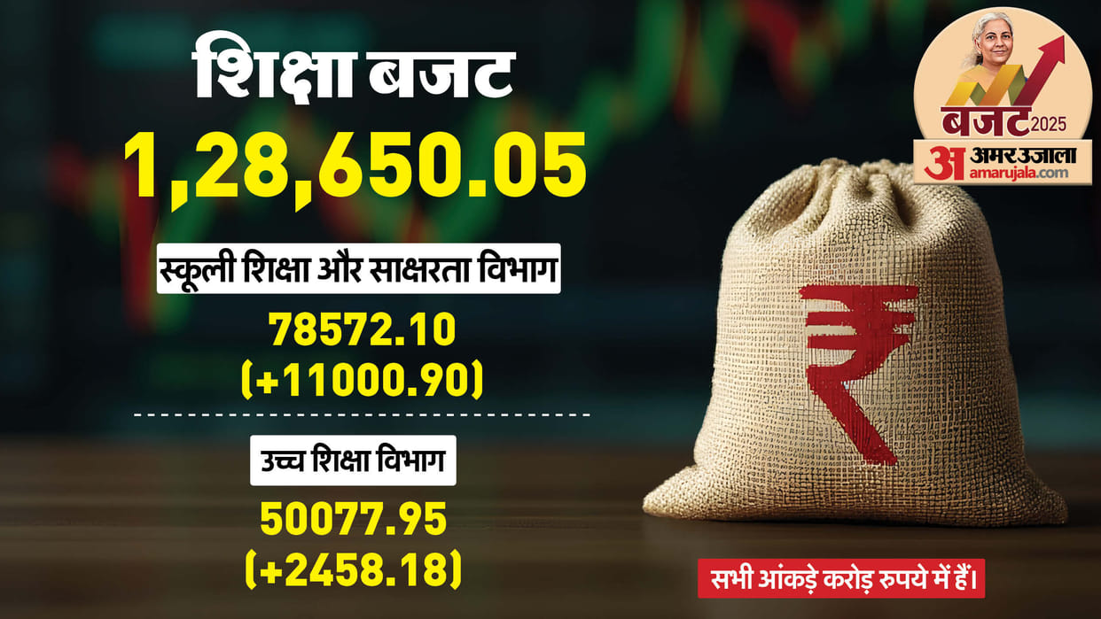 Budget 2025: How much budget was allocated to school and higher education? increase of 6.65%, see details here