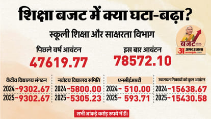 Budget 2025: How much budget was allocated to school and higher education? increase of 6.65%, see details here